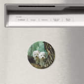 Zest en Donna (moeder en dochter 2) Magneet (Insitu (Vaatwasser))