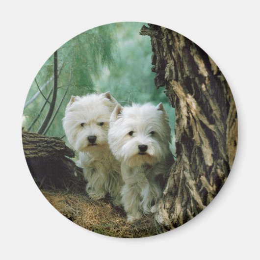 Zest en Donna (moeder en dochter 2) Magneet (Voorkant)