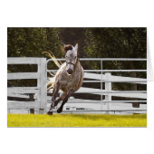 Zest for Life (Voorkant Horizontaal)