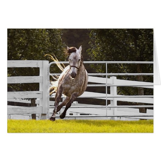 Zest for Life (Voorkant Horizontaal)