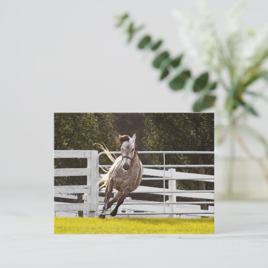 Zest for Life Briefkaart (Staand voorkant)