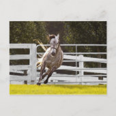 Zest for Life Briefkaart (Voorkant)