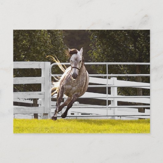 Zest for Life Briefkaart (Voorkant)