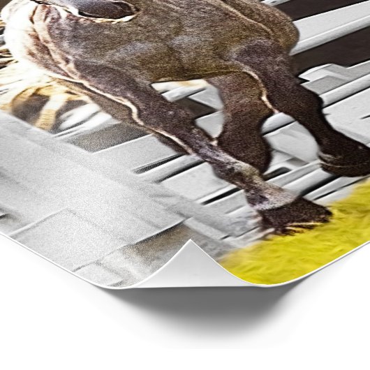 Zest for Life Foto Afdruk (Hoek)