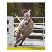 Zest for Life Foto Afdruk (Voorkant)