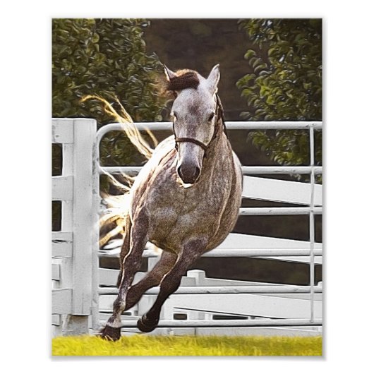 Zest for Life Foto Afdruk (Voorkant)