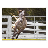 Zest for Life Foto Afdruk (Voorkant)