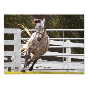 Zest for Life Foto Afdruk