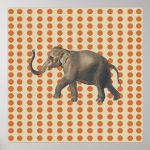 Zest Spice Moods Stippen met olifant Poster