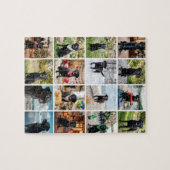 Zestien foto collage sjabloon legpuzzel (Horizontaal)