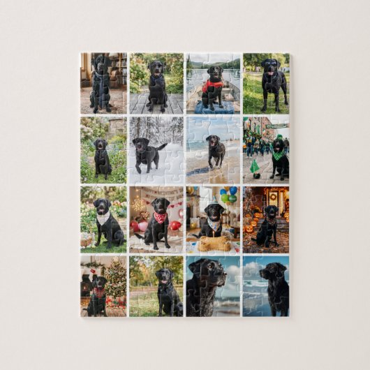Zestien foto collage sjabloon legpuzzel (Verticaal)