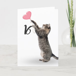 Zestienjarige kat met tabby vacht kaart