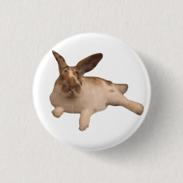 Zesty Paddy Badge Ronde Button 3,2 Cm