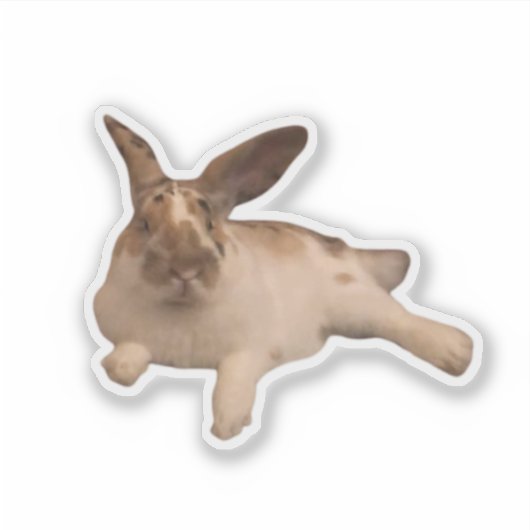 Zesty Paddy Sticker (Voorkant)