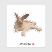 Zesty Paddy Sticker (Vel)