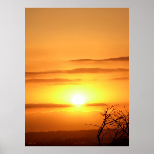 Zesty SUN Poster (Voorkant)