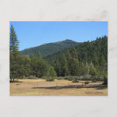 Zet Chanchelulla op met lichte maan... Briefkaart (Voorkant)