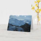 Zet de Kaart van Princeton op Colorado (Gele Bloem)