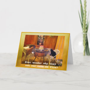 Zet de taart in brand!! — Kat Birthday Kaart