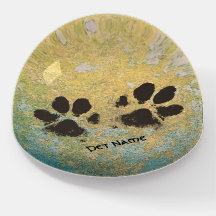 Zet de verf van uw huisdier op het geverfde beton