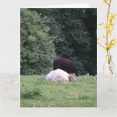 Zet de wolf aan om de schapen te bewaken, Wenskaar Kaart (Gele Bloem)