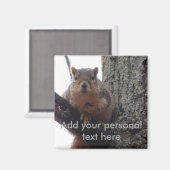 Zet deze eekhoorn op je koelkast magneet (Voorkant / Achterkant)