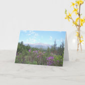 Zet Katahdin en wildflowers op Kaart (Gele Bloem)