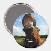 Zet me terug mens! paardenmagneet magneet (Voorkant / Achterkant)