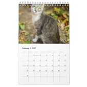 Zet mijn Afbeeldingen elke maand blauw Kalender (Feb 2027)