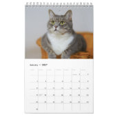 Zet mijn Afbeeldingen elke maand blauw Kalender (Jan 2027)