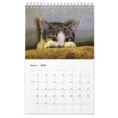 Zet mijn Afbeeldingen elke maand blauw Kalender (Mar 2026)