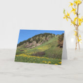 Zet Otis Havre, Montana op Kaart (Gele Bloem)