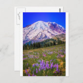 Zet Regenachtiger op Briefkaart (Voorkant / Achterkant)