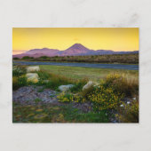 Zet Tongariro, Nieuw Zeeland op Briefkaart (Voorkant)