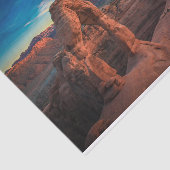 Zetmeel Tissuepapier (Detail)