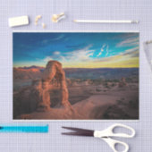 Zetmeel Tissuepapier (Craft)