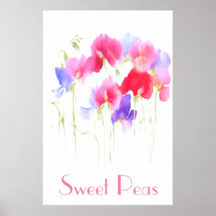 ZETTEN PEAS WATERVERF STIJLE POSTER