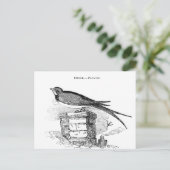  zeugelvogel briefkaart (Staand voorkant)