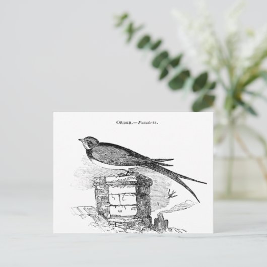  zeugelvogel briefkaart (Staand voorkant)