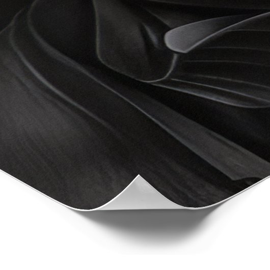 Zeus Beeldhouwportret Poster - Good Heavens in t (Hoek)