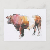 Zeus Briefkaart (Voorkant)