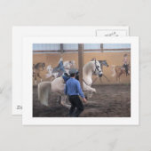 Zeus, Levade in het Briefkaart van de pijlers (Voorkant / Achterkant)