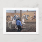 Zeus, Levade in het Briefkaart van de pijlers (Voorkant)