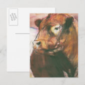 Zeus Red Belted Galloway Bull 2006 2 Briefkaart (Voorkant / Achterkant)