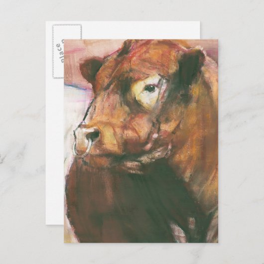 Zeus Red Belted Galloway Bull 2006 2 Briefkaart (Voorkant / Achterkant)