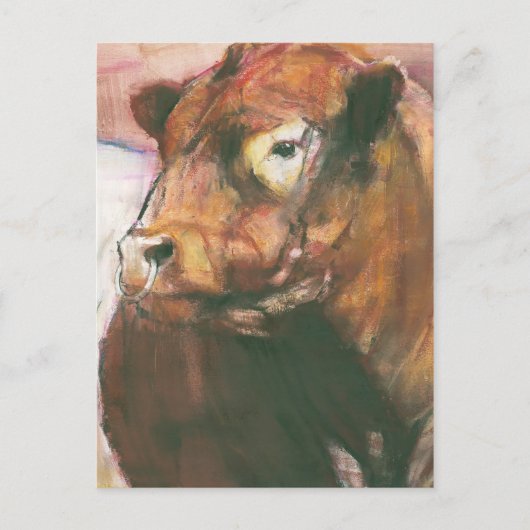 Zeus Red Belted Galloway Bull 2006 2 Briefkaart (Voorkant)
