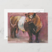 Zeus Red Belted Galloway Bull 2006 Briefkaart (Voorkant / Achterkant)
