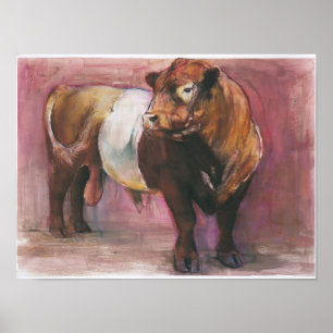 Zeus Red Belted Galloway Bull 2006 Poster