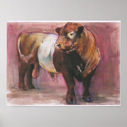 Zeus Red Belted Galloway Bull 2006 Poster (Voorkant)