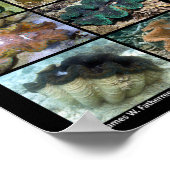 Zeven gemeenschappelijke soorten Poster van reuzel (Hoek)